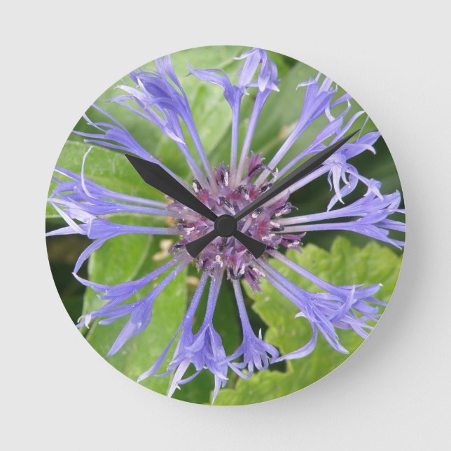 Reloj de pared de flor de maíz azul (Anverso)
