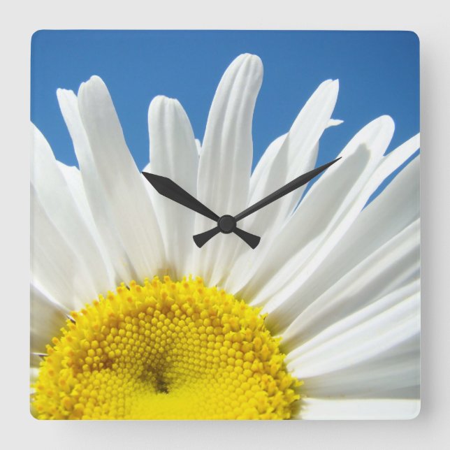 Reloj de pared de flor de margarita regalos Decora (Anverso)