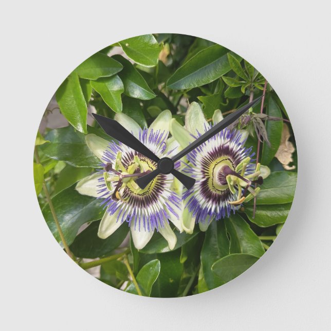 Reloj de pared de flor de pasión púrpura (Anverso)