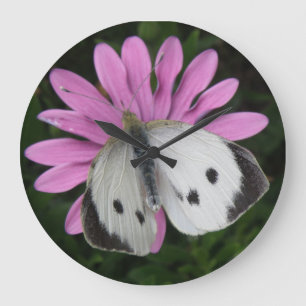 Reloj de pared de flor rosa y mariposa
