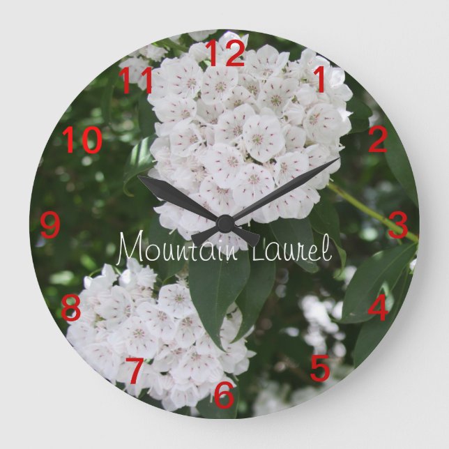 Reloj de pared de flores de laurel de montaña de c (Anverso)