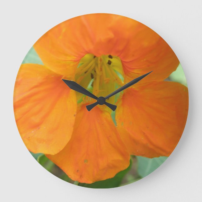 Reloj de pared de flores de Nasturtium Naranja (Anverso)