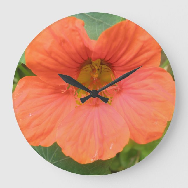 Reloj de pared de flores de Nasturtium naranja (Anverso)