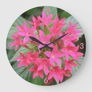 Reloj de pared de flores tropicales rosa brillante