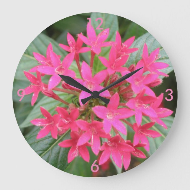 Reloj de pared de flores tropicales rosa brillante (Anverso)