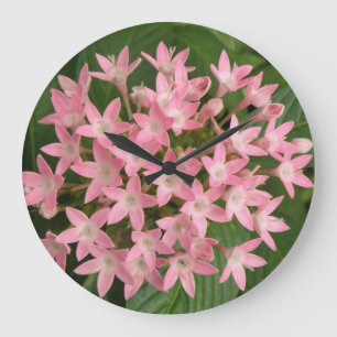 Reloj de pared de flores tropicales rosadas de bon