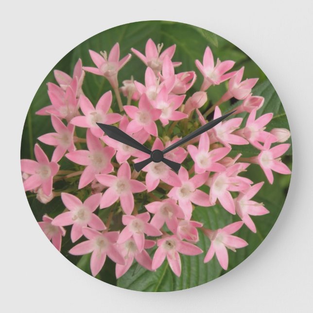 Reloj de pared de flores tropicales rosadas de bon (Anverso)