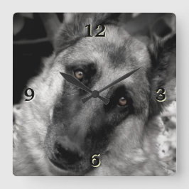 Reloj de pared de fotos de pastores alemanes