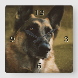 Reloj de pared de fotos de pastores alemanes