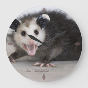 reloj de pared de fotos opossum de consulta médica