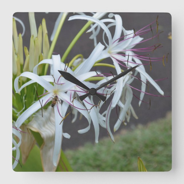 Reloj de pared de fragancia floral (Anverso)