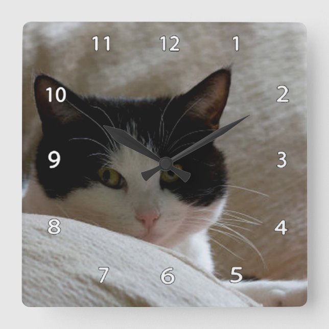 Reloj de pared de gato (Anverso)