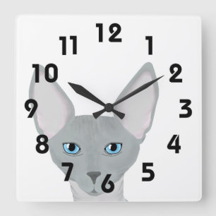 Reloj de pared de gatos Sphynx