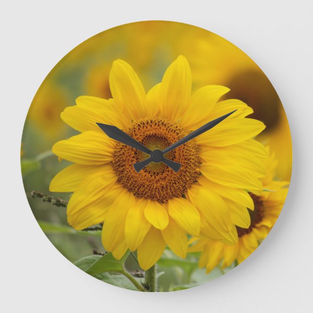 Reloj de pared de girasol (Anverso)