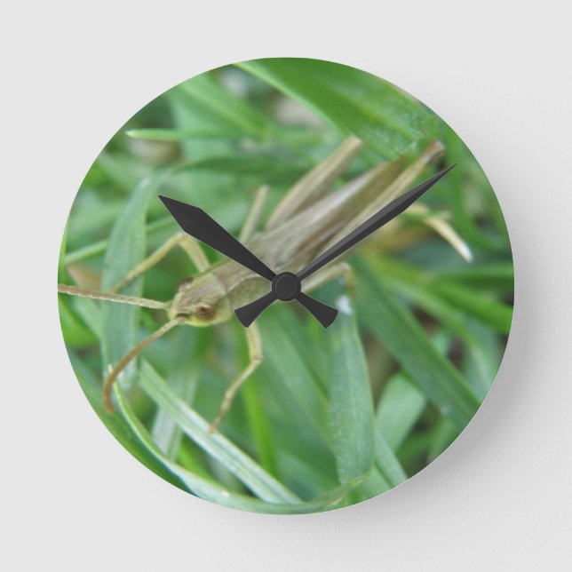 Reloj de pared de Grasshopper (Anverso)