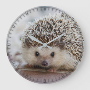 Reloj de pared de hedgehog para bebé