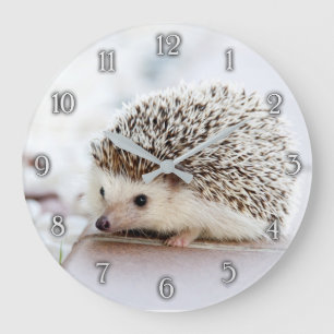 Reloj de pared de hedgehog para bebé