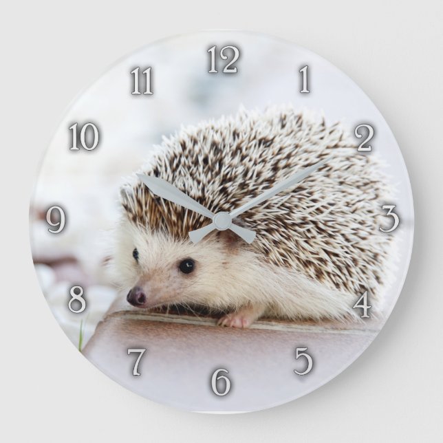 Reloj de pared de hedgehog para bebé (Anverso)