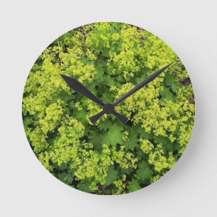 Reloj de pared de hiedra verde botánica exuberante