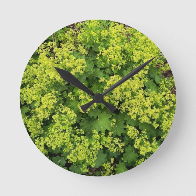 Reloj de pared de hiedra verde botánica exuberante (Anverso)