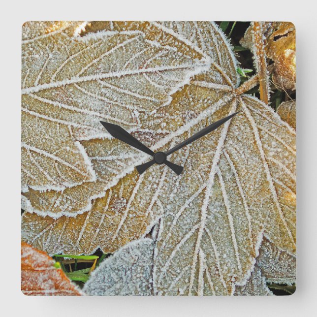 Reloj de pared de hojas congeladas (Anverso)