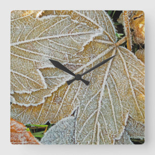 Reloj de pared de hojas congeladas