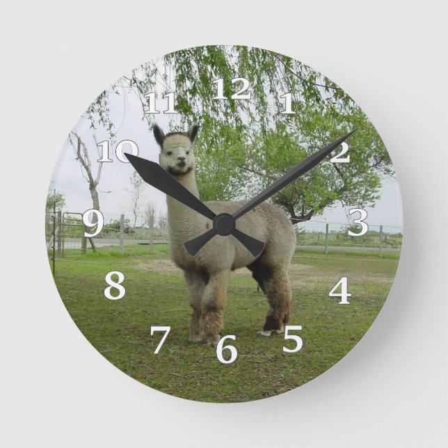 Reloj de pared de la alpaca (Anverso)