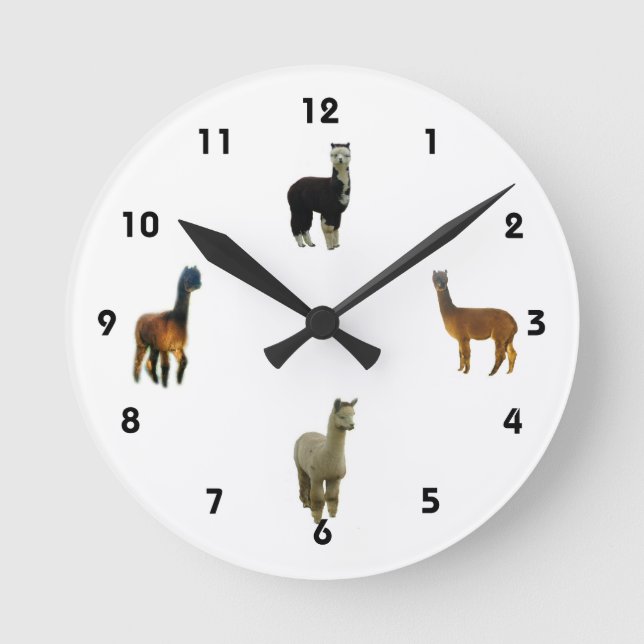 Reloj de pared de la alpaca (Anverso)