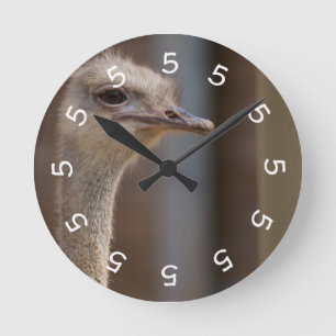 reloj de pared de la avestruz de las 5