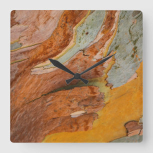 Reloj de pared de la barra de árbol