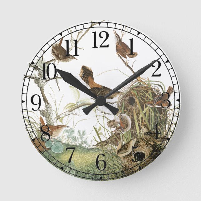 Reloj de pared de la fauna de los animales de los (Anverso)