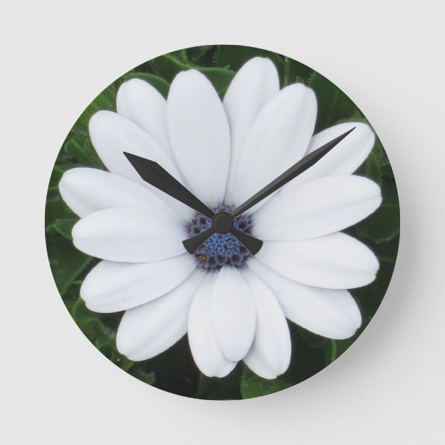 Reloj de pared de la Flor blanca (Anverso)