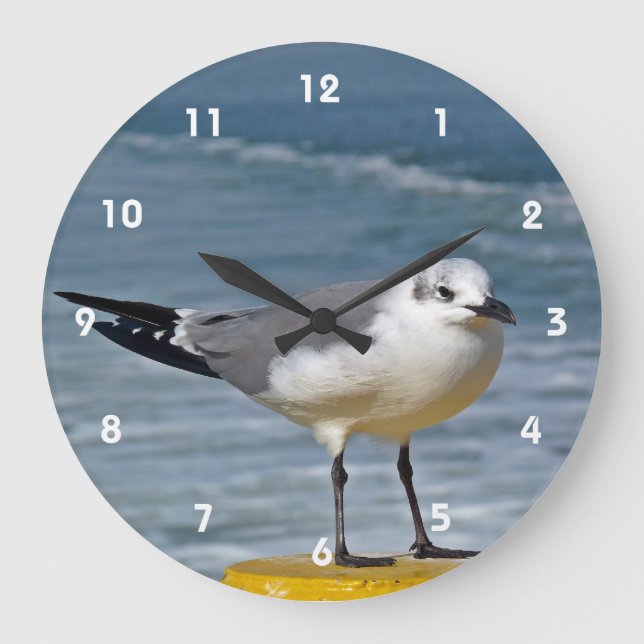 Reloj de pared de la gaviota (Anverso)