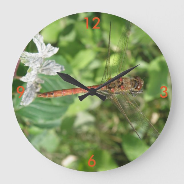 Reloj de pared de la libélula más oscura (Anverso)