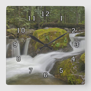 Reloj de pared de la naturaleza