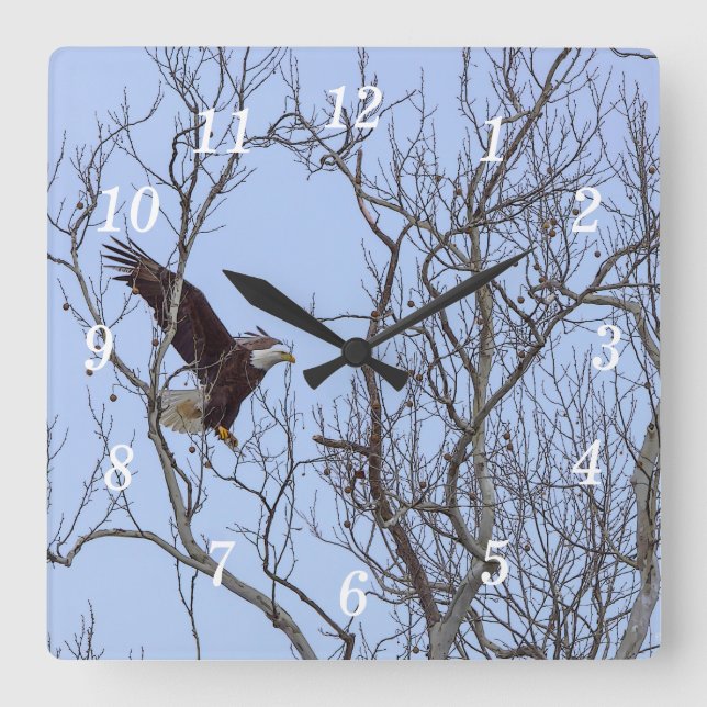 Reloj de pared de la parrilla de entrega de pescad (Anverso)