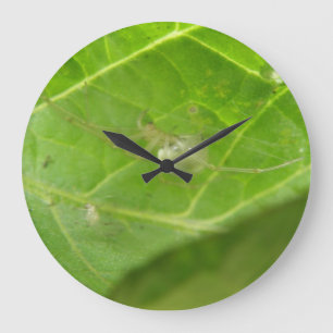 Reloj de pared de la pequeña araña