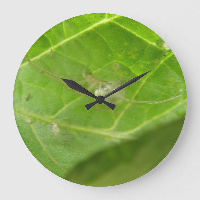 Reloj de pared de la pequeña araña (Anverso)