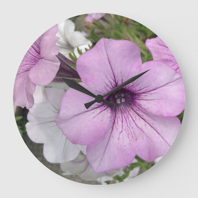 Reloj de pared de la petunia (Anverso)