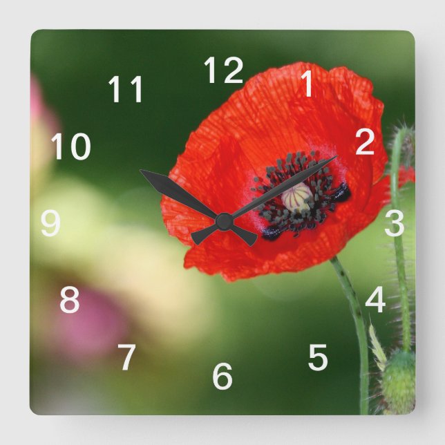 Reloj de pared de la semilla de la amapola roja (Anverso)