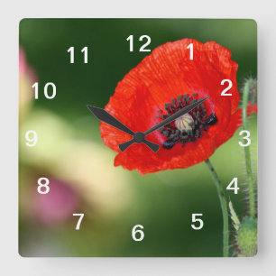 Reloj de pared de la semilla de la amapola roja
