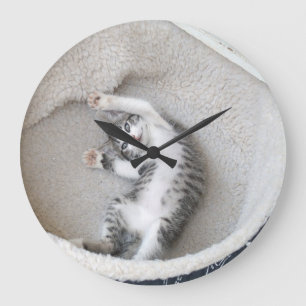 Reloj de pared de la siesta del gato