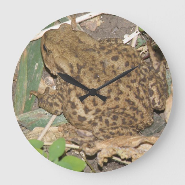 Reloj de pared de la toga común europea (Anverso)