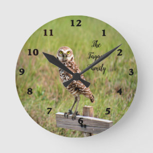 Reloj de pared de lechuza de madriguera bebé