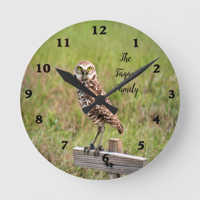 Reloj de pared de lechuza de madriguera bebé (Anverso)