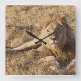 Reloj de pared de leones