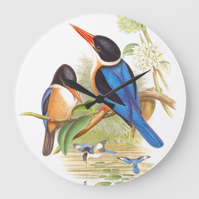 Reloj de pared de los pájaros del martín pescador (Anverso)