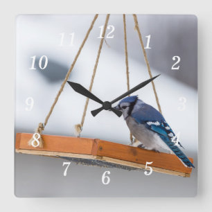 Reloj de pared de lunar de Jay azul