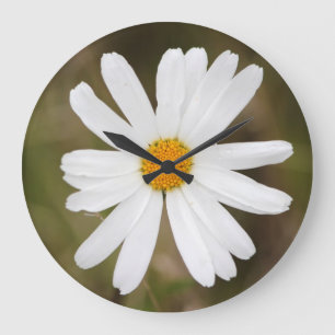 Reloj de pared de margarita con gotas de lluvia