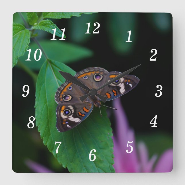 Reloj de pared de mariposa con foco (Anverso)